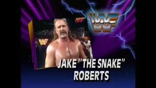 Jake Roberts in action   SuperStars Dec 14th, 1991