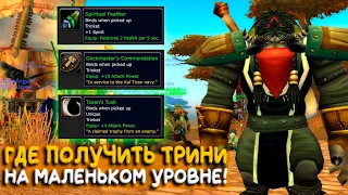 Где на Turtle WoW Classic найти аксессуары для 15 уровня!