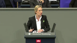 Weidel geht zum Gegenangriff über