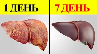 Овес для чистки печени