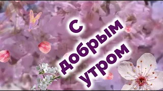 С ДОБРЫМ ИЮНЬСКИМ УТРОМ!🌞Шикарная Музыкальная открытка! С Добрым утром и Хорошего дня! ⏰