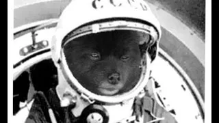 Soviet Space Pomeranians