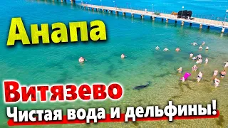 #Анапа ДЕЛЬФИНЫ И КРИСТАЛЬНАЯ ВОДА В ВИТЯЗЕВО ПРЯМО СЕЙЧАС! ЭТО ПРОСТО ПРАЗДНИК КАКОЙ-ТО!