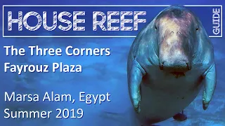 House Reef Guide | The Three Corners Fayrouz Plaza | Egypt - Marsa Alam | Summer 2019 | Snorkeling