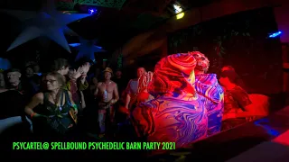 PSYCARTEL@SPELLBOUND PSYCHEDELIC BARN PARTY 2021   4K