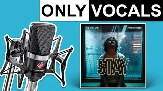 Stay - The Kid Laroi/Justin Bieber | Only Vocals (Isolated Acapella)