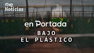 EN PORTADA | "'BAJO EL PLÁSTICO", EXPLOTACIÓN y MISERIA en los INVERNADEROS de ALMERÍA | RTVE
