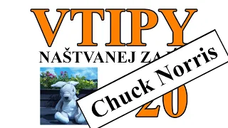 Vtipy 20 - Chuck Norris - Naštvanej zajíc