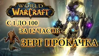 WoW - Прокачка с 1 до 100 за 12 часов