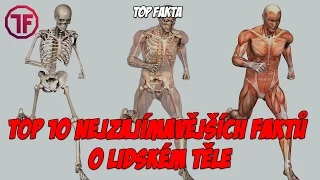 TOP 10 - nejzajímavějších faktů o lidském těle