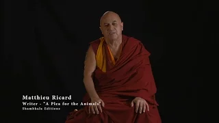 MATTHIEU RICARD - A Plea for Animals, the Planet & Human Beings (english)