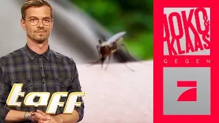 Mückenplage EXTREM: Joko analysiert das Phänomen! | taff Joko & Klaas Spezial | ProSieben