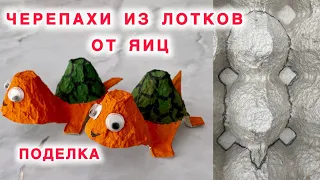 Черепахи из лотков от яиц🐢🐢Тасбақа жұмыртқа қорабынан