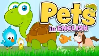 Домашние животные на английском языке для детей (Pets in English)