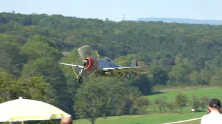 Hahnweide 2019: Republic P-47 Thunderbolt