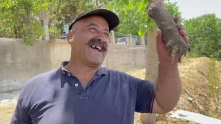 مشحرة: Traditional Oak Charcoal Making Documentary, Happy Moments & Authentic Food with Abou Charbel