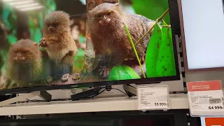 Ultra HD (4K) LED телевизор SONY KD-43XF7596