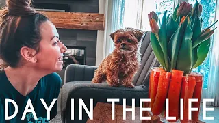 Day In The Life | Shopping, Cleaning, DIY