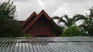 Sudden rain shower in Fang, Thailand (Chiang Mai province)