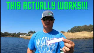 TOP SECRET Rig The Pros Don't want You to Know about - This thing catches FISH