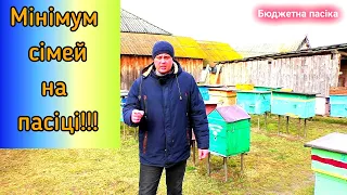 Скільки потрібно тримати бджолиних сімей на пасіці? (МІНІМУМ)