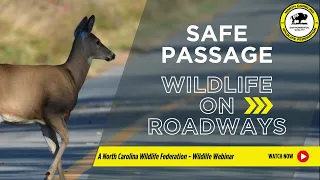 Safe Passage for Wildlife - North Carolina Wildlife Federation