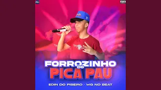 Forrozinho do Pica Pau