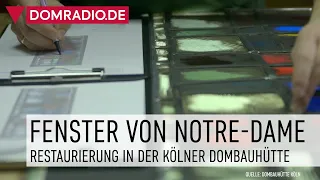 Die Glasfenster von Notre-Dame in Paris - Restaurierung in der Kölner Dombauhütte