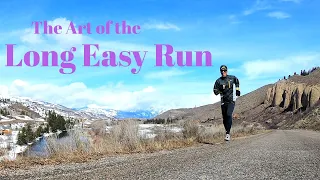 The ART of the LONG EASY RUN // Why you are not like your dog