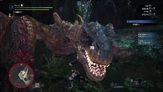 Monster Hunter World Iceborne - Guard5 SNS with Offensive Guard