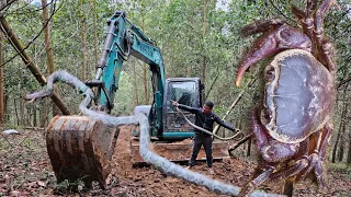 Combine excavators to open roads, catch big snakes and wild crabs