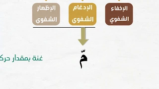 الإدغام الشفوي والإظهار الشفوي | 7 "أحكام الميم الساكنة" (سلسلة أحكام التلاوة والتجويد)