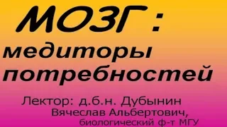 Вячеслав Дубынин - Мозг: Медиаторы потребностей