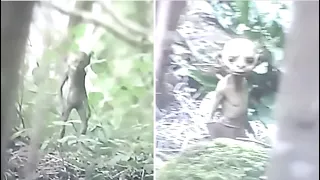 This Hiker Makes A Chilling Discovery After Encountering This While Exploring An Abandoned Trail