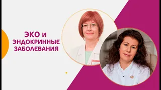 Эндокринные заболевания и ЭКО: диалог репродуктолога и эндокринолога