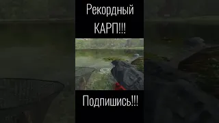 #карп огромный карп на кукурузу игра ultimate fishing simulator