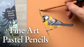 How to use Cretacolor's Fine Art PASTEL Pencils Set| Easy drawing TUTORIAL | Product Description