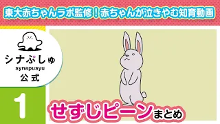 【赤ちゃんが泣きやむ】シナぷしゅ公式せすじピーンまとめ1【東大赤ちゃんラボ監修！知育】