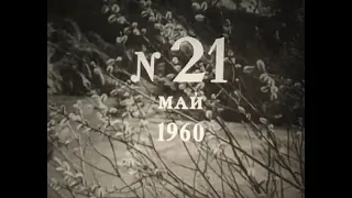 Киножурнал "Сибирь на экране"  Май 1960 год