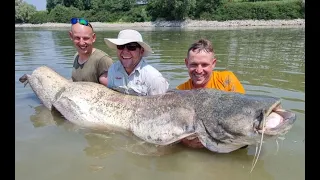 Sumior Życiówka 244cm Szmaciarskiego Króla. Kabany z Padu. Team Szmaciarze & Bonito ExPADycja22