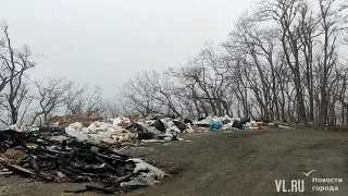 В лесу на Дальхимпроме неизвестные выбрасывают шины, строительный и бытовой мусор