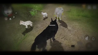 Enjoy the life of a real wolf, Wolf Online 2