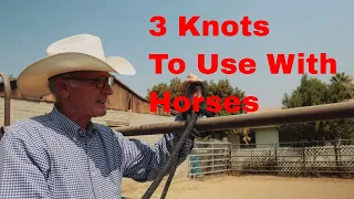 3 Quick Release Knots To Use With Horses