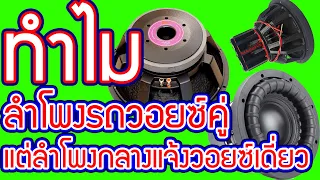 ทำไมลำโพงรถยนต์ใช้วอยซ์คู่ แต่ลำโพงกลางแจ้งใช้วอยซ์เดี่ยว | วอยซ์เดี่ยว วอยซ์คู่ ต่างกันอย่างไร