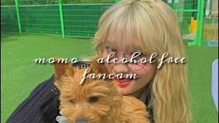 alcohol free - twice momo mirrored fancam | PUT IN 2X