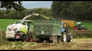 Maize '21 - Strongs Hard at Work!  With Claas 860, and New Holland.  Some T8 Scenes!