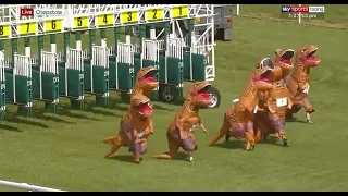 T-Rex Racing!