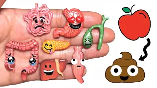 DIY EMOJI DIGESTIVE SYSTEM! Polymer Clay Tutorial