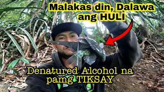 Denatured alcohol na pang Tiksay, malakas din pala. #tiksayfishing #fishingvideo #buhayprobinsya