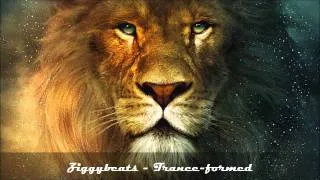 Ziggybeats - Trance-formed